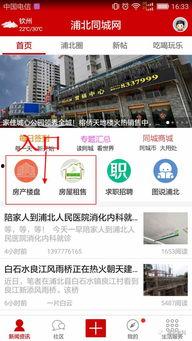 浦北同城网最新爆料群,最新群动态揭秘